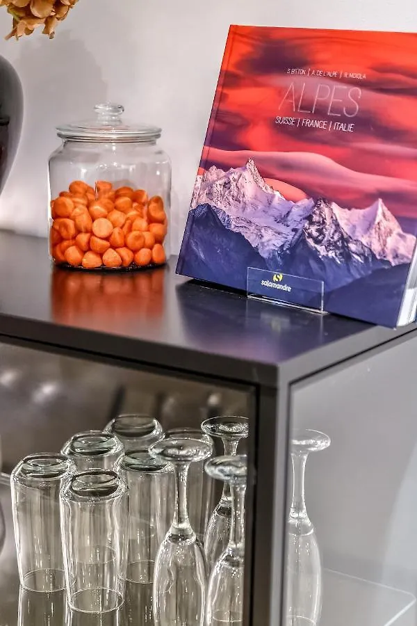 Le 15 Sainte Claire - Luxe Et Prestige Apartment Annecy